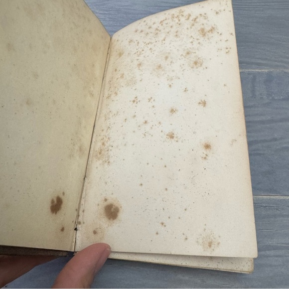 Antique THE SUNNY SIDE; or, the Country Minister's Wife 1851Hardback Book - Picture 9 of 17